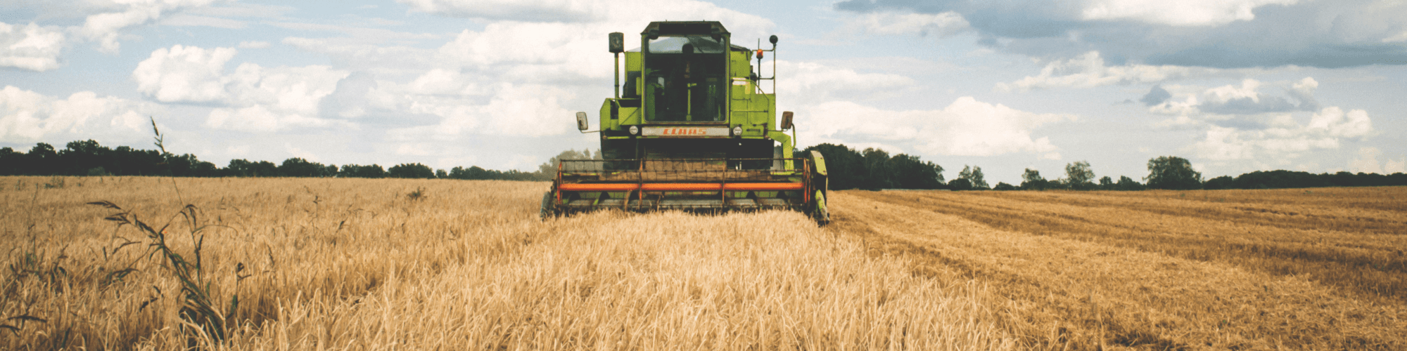 Farmers on horseback at sunset